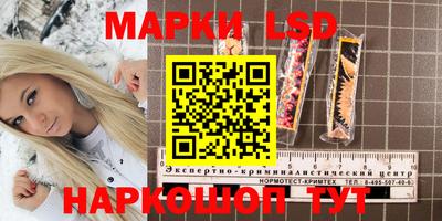 амф Камышлов