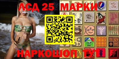 амф Камышлов