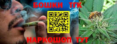 спиды Канаш