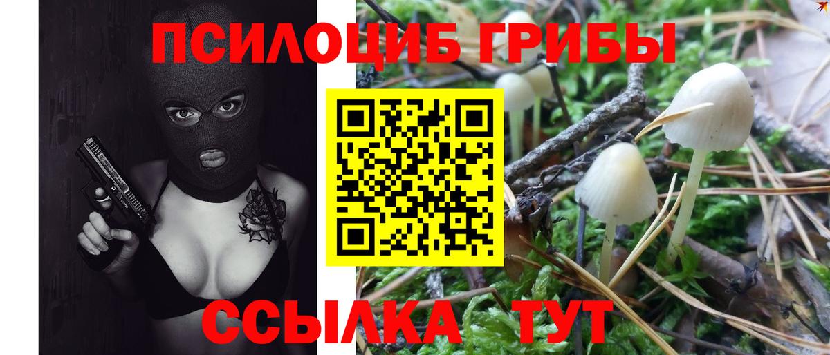 Галлюциногенные грибы ЛСД  Вход с VPN  Дальнегорск 